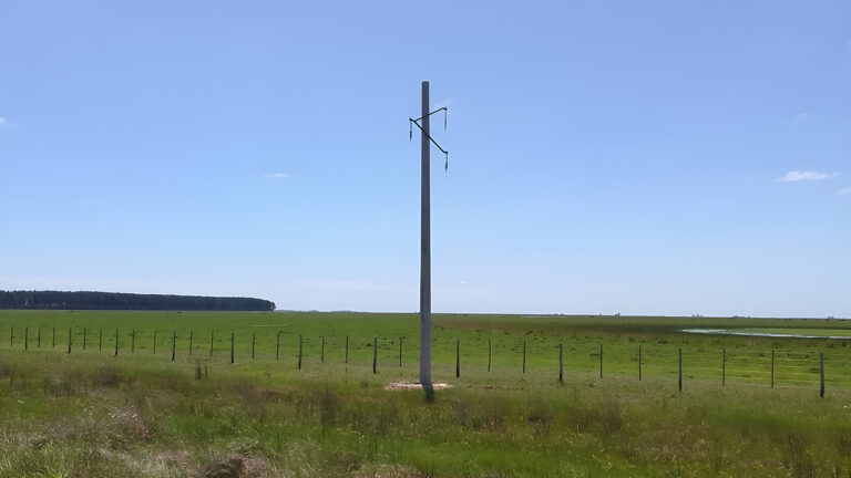Segunda etapa de colocación de columnas de hormigón