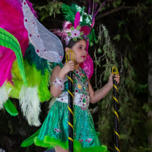 Así disfrutamos los Carnavales 2025 en Mantilla 025