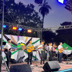 Mantilla Fiesta del Pueblo